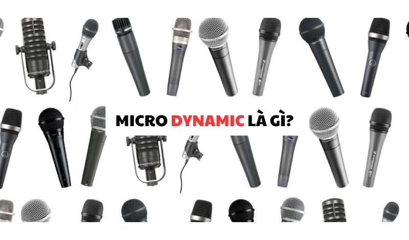 Micro Dynamic là gì?